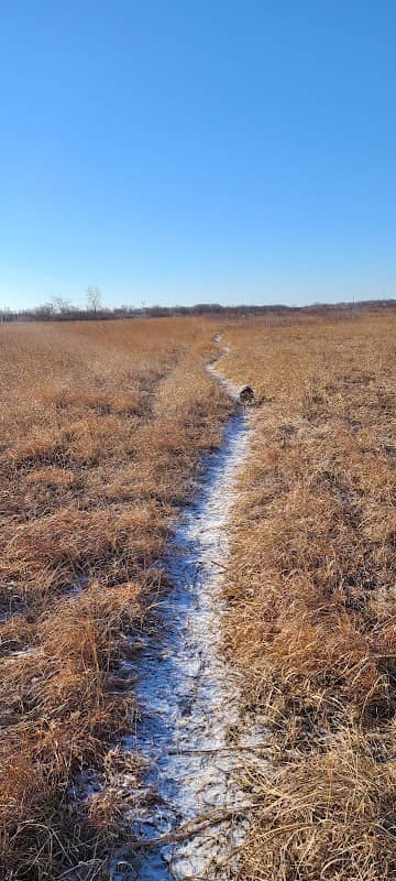 Chiwaukee Prairie State Natural Area - Image 3