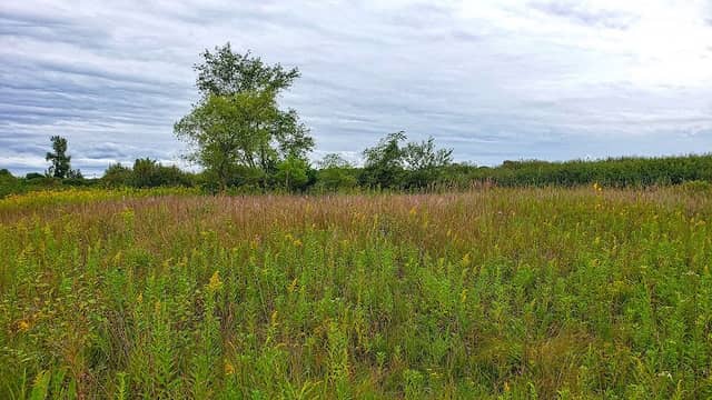 Chiwaukee Prairie State Natural Area - Image 2