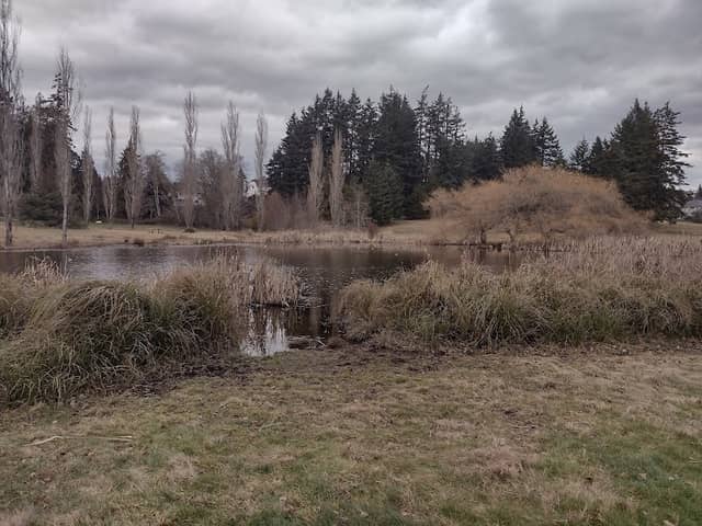 John Phillips Memorial Park - Image 1