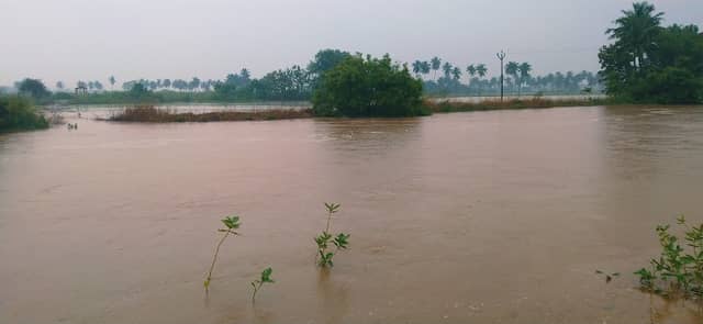 Veeranam Dam - Image 1