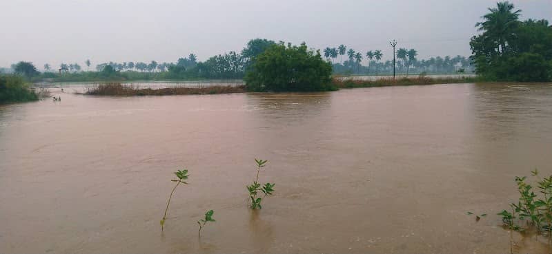 Veeranam Dam - Image 1