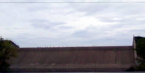 Clearfork Resevoir Spillway - Image 1