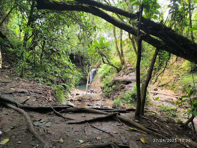 Cascada San Bernardino - Image 1