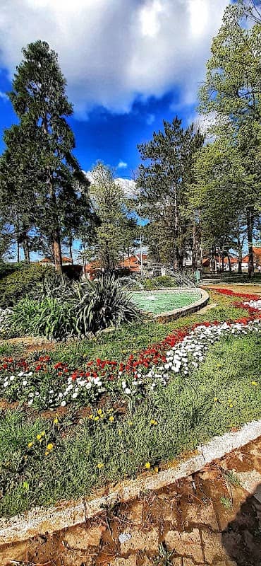 King Peter Park - Image 1