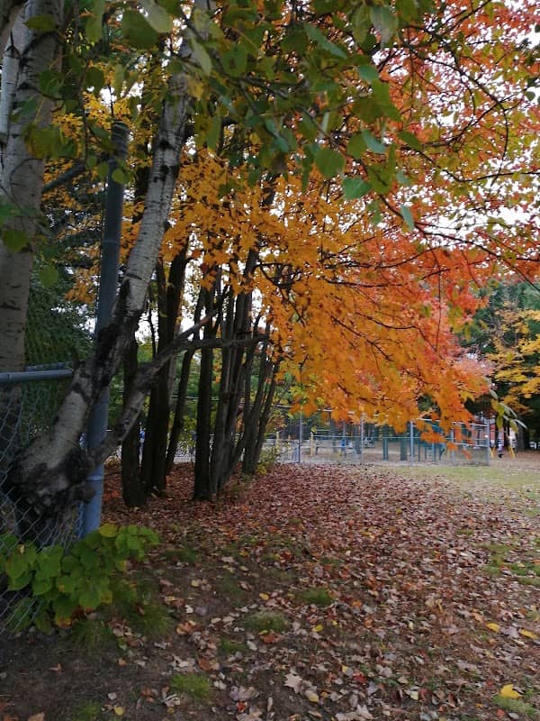 Parc des Hirondelles - Image 2