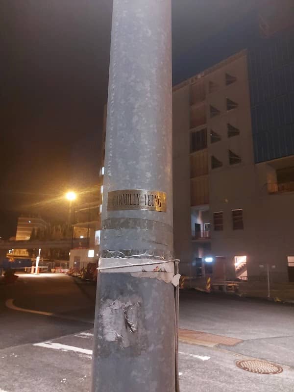 Carmilly Yeung Pole - Image 1