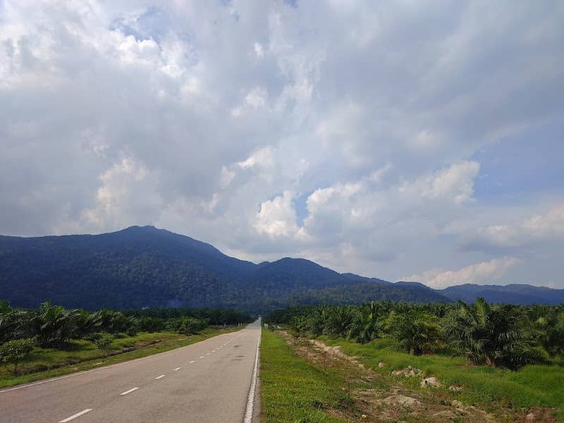 Port Amik Gambar Tengah Jalan GL - Image 1