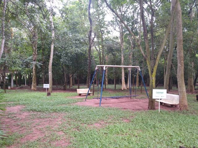 Horto florestal - Image 1