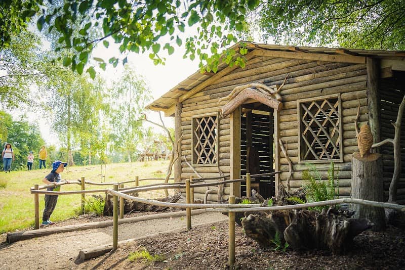 Discovery Land at Priory Farm - Image 2