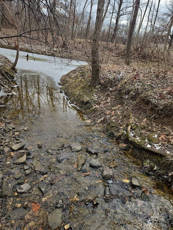 Stinson Creek Trail - Image 1