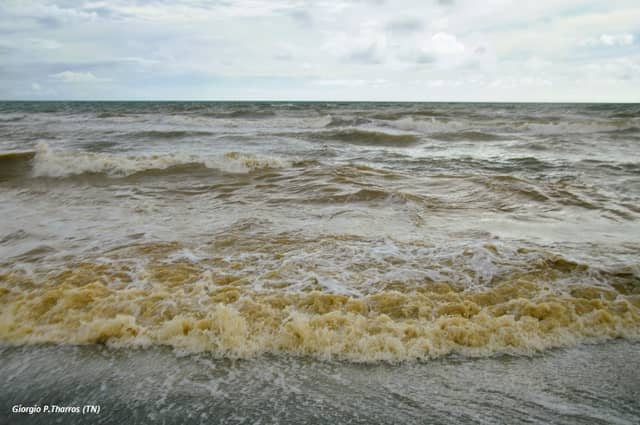 Mare di Ladispoli - Image 2