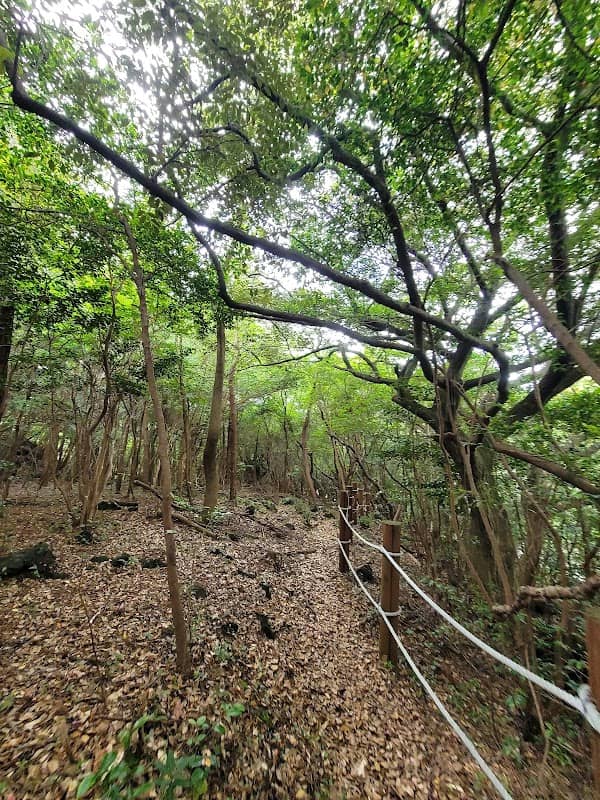 한남리 서중천탐방로 - Image 1