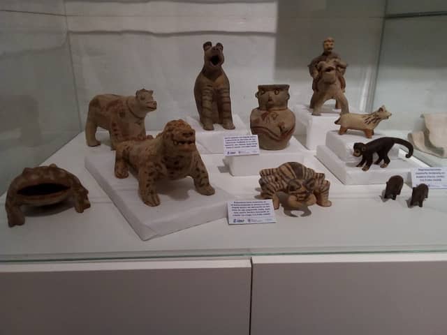 MUSEO AMERICANISTA - Image 2