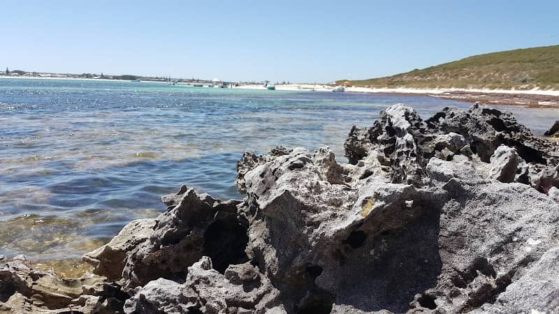 Lancelin Island - Image 2