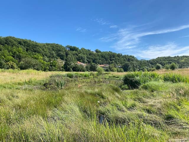 Espace Naturel Sensible du Coteau et prairie du Châtelier - Image 1