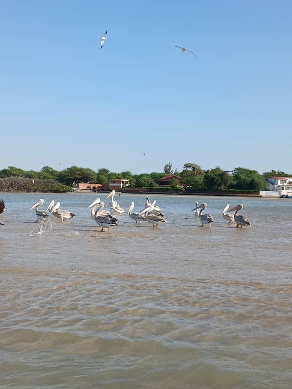 La lagune Somone - Image 1