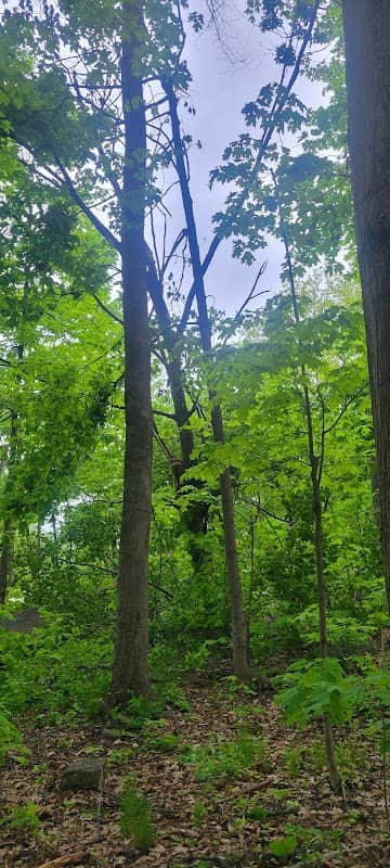Parc du Bois-des-Soeurs - Image 1