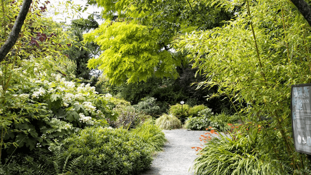 Bellevue Botanical Garden - Image 2