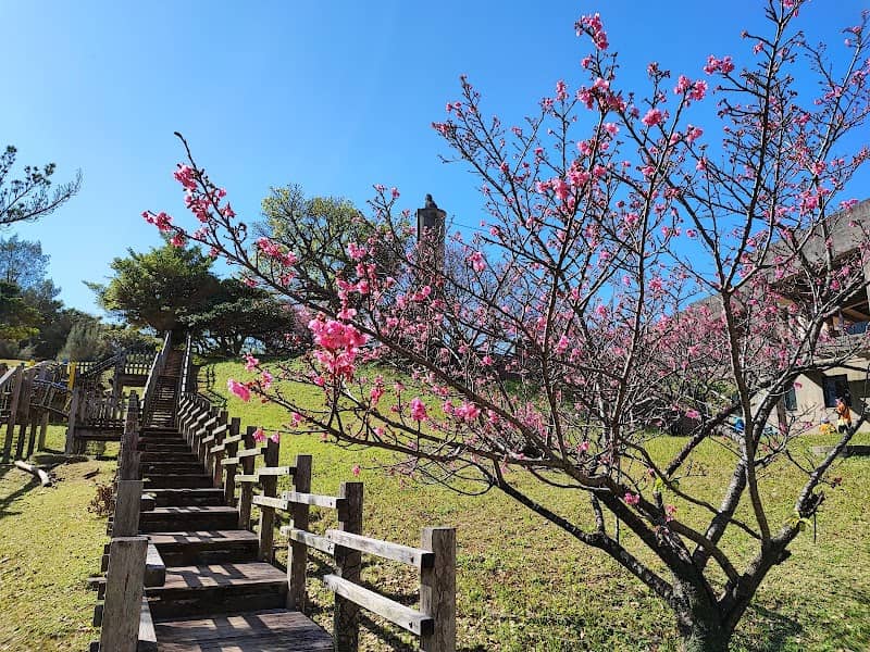 Yaeshima Park - Image 2