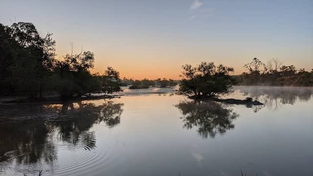 Maple River State Game Area - Image 2