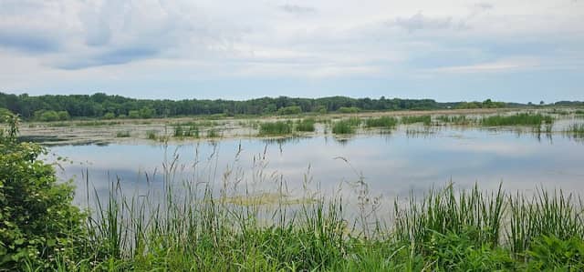 Maple River State Game Area - Image 1