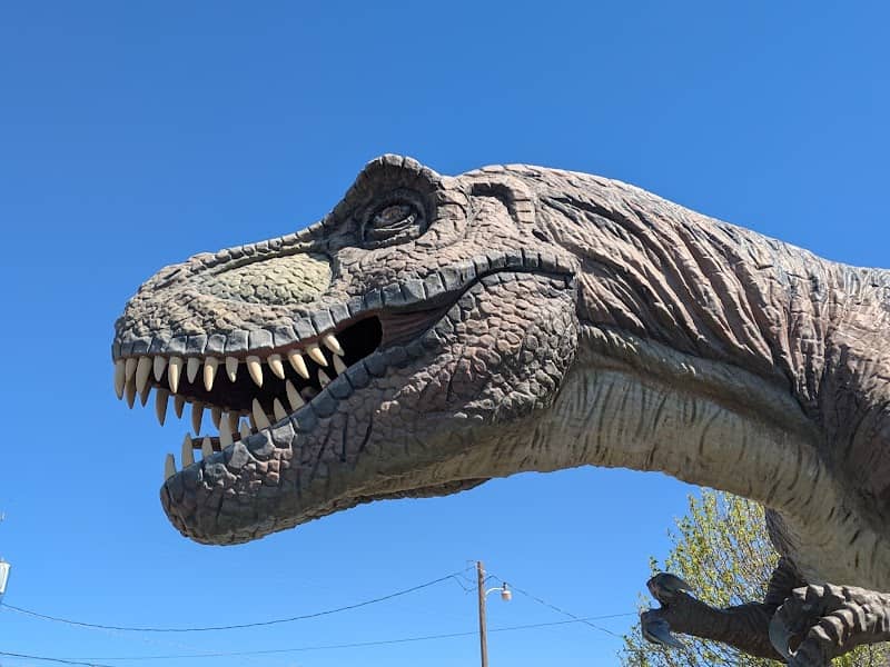 Dinosaur Photo Park - Image 1