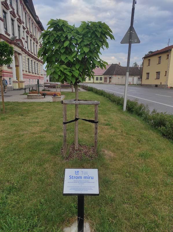Strom míru - Image 1