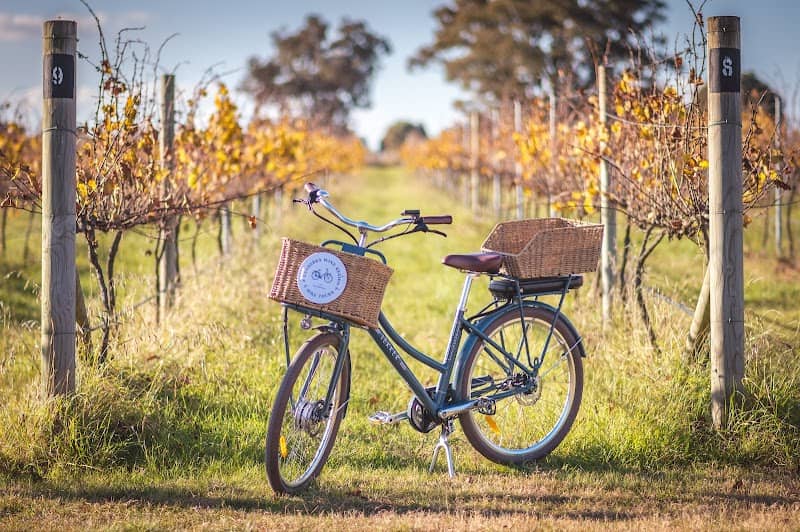 Canberra Wine Region E-Bike Tours - Image 1