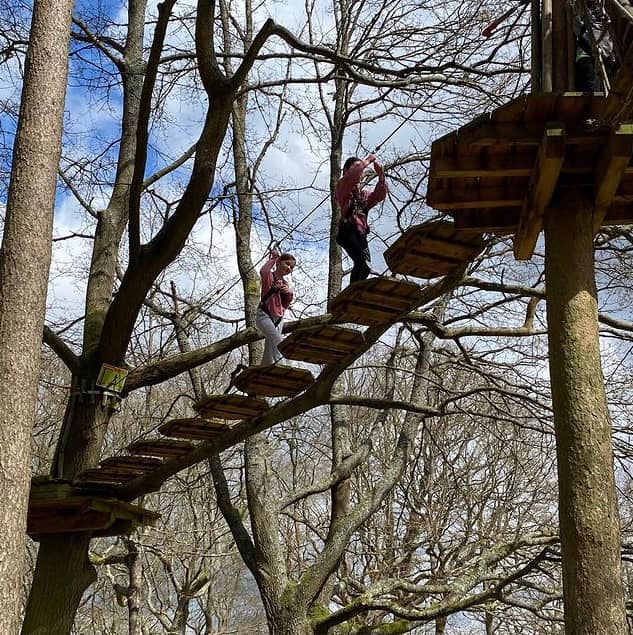 Go Ape Crawley - Image 1