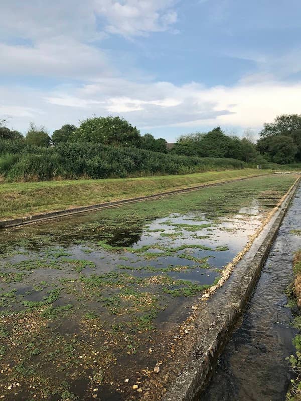 Watercress Meadows - Image 2