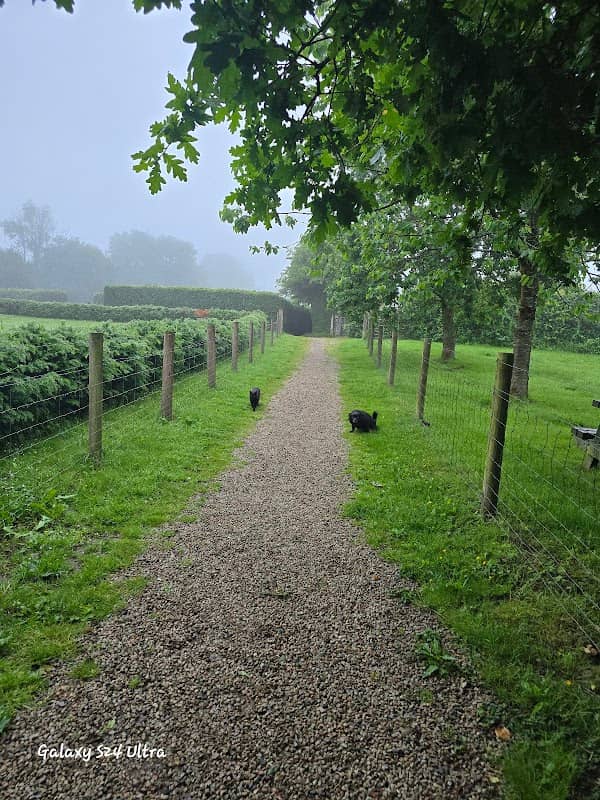 Buckland Monachorum Community Meadow - Image 1