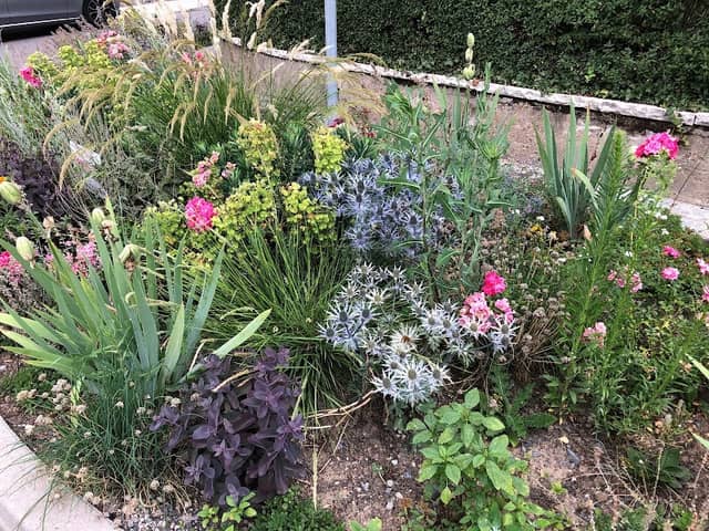 Beet sucht Freund- Blumenbeet der BUGA Freunde - Image 1