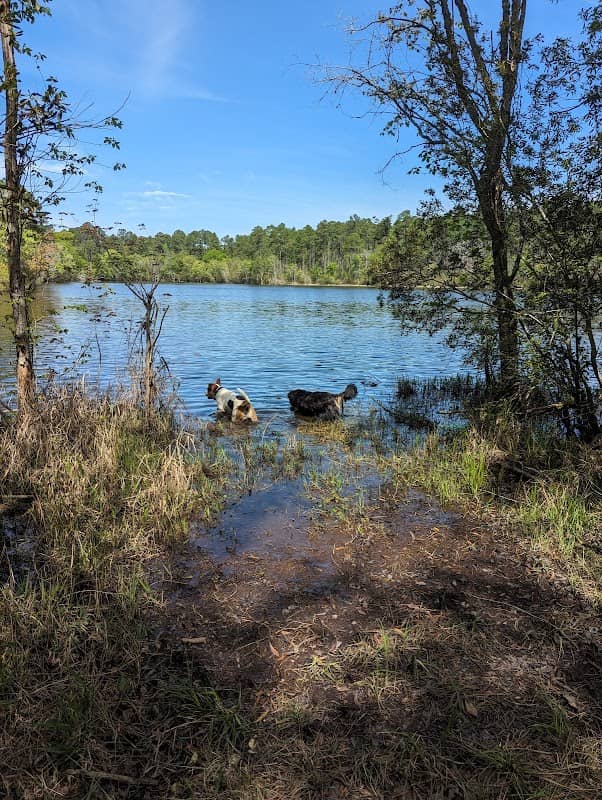 Dodge County Public Fishing Area - Image 2