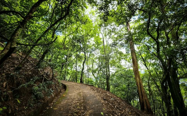 Udawatta Kele Sanctuary - Image 1