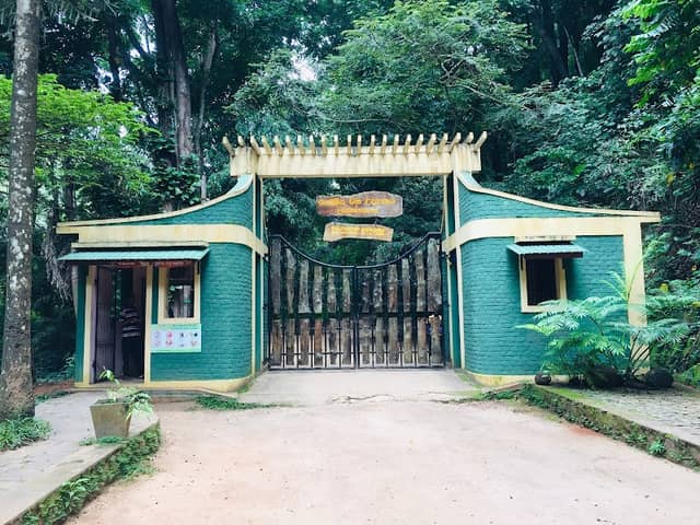 Udawatta Kele Sanctuary - Image 2