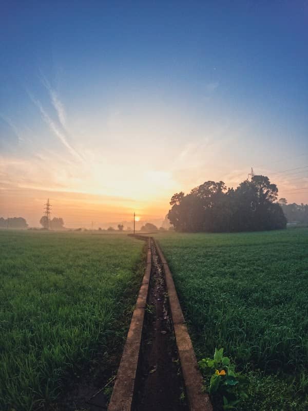 Paddy Field View Point - Image 1