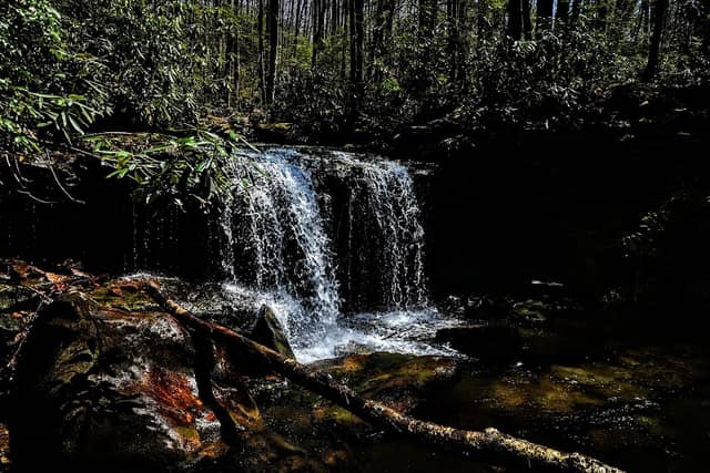 Lick Branch Falls - Image 2