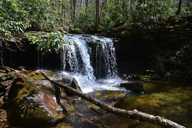 Lick Branch Falls - Image 1