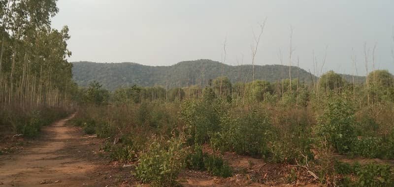 Erraguntapalli Forest - Image 1