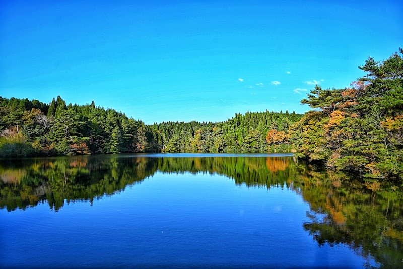 Tsubakiyama Forest Park - Image 1