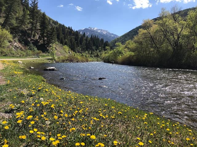 Provo Canyon Adventures - Image 1