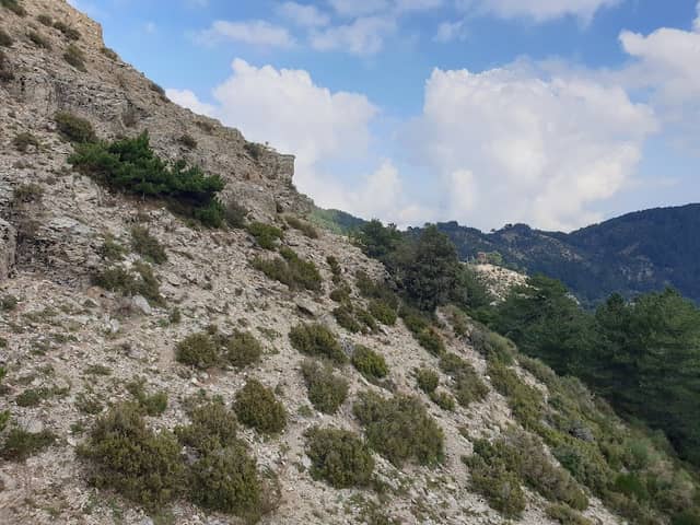 Pietra Mazzulisà - Image 1