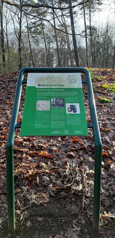 Boslandschap, Grafheuvels en bosbeheer - Image 1