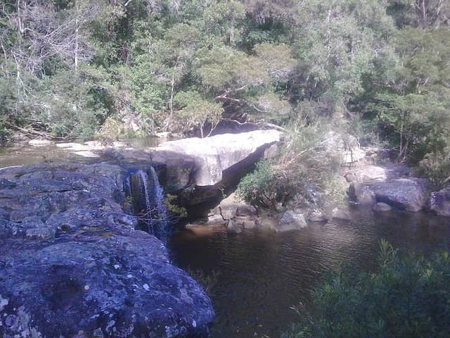 Mooney Mooney Ponds - Image 1