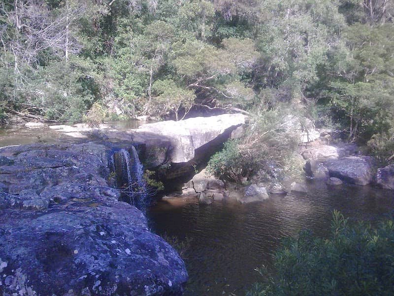 Mooney Mooney Ponds - Image 1
