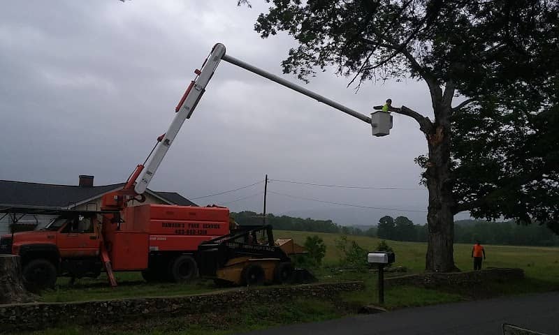 Tennessee Tree Toppers Whitwell Landing Zone - Image 2
