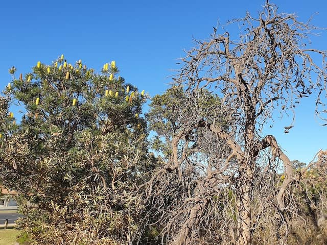 Russo Reserve - Image 1