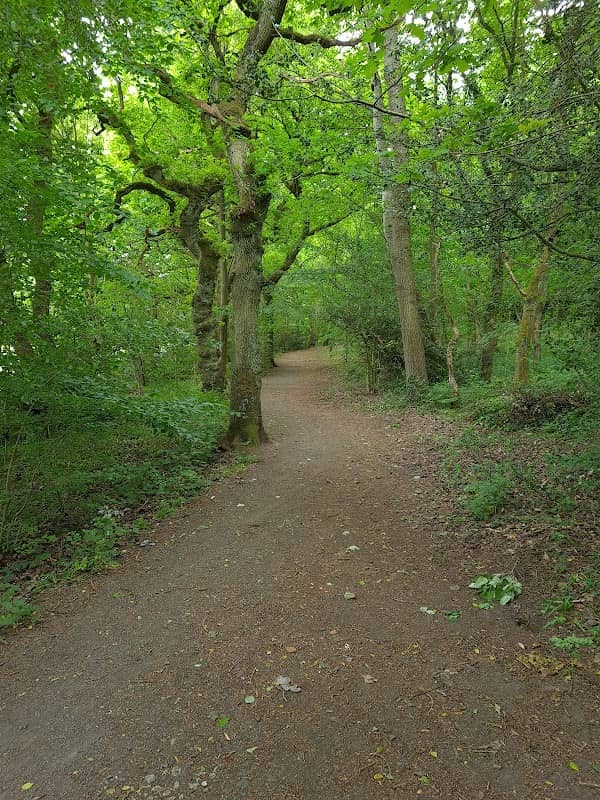 Saltwells Local Nature Reserve - Image 1