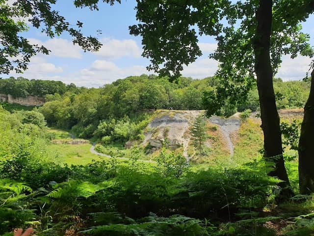 Saltwells Local Nature Reserve - Image 2
