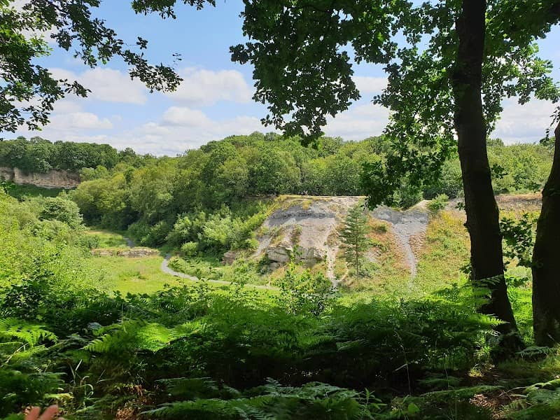 Saltwells Local Nature Reserve - Image 2